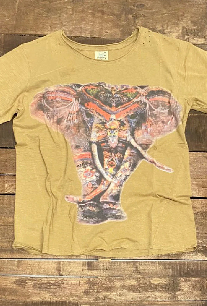 Moon Dance Distressed Cotton Tee Top in Rainbow Elephant