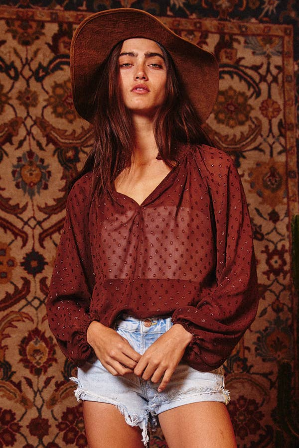 Sale - Smoked Stand Collar Glitter Semi-Sheer Blouse in Brown